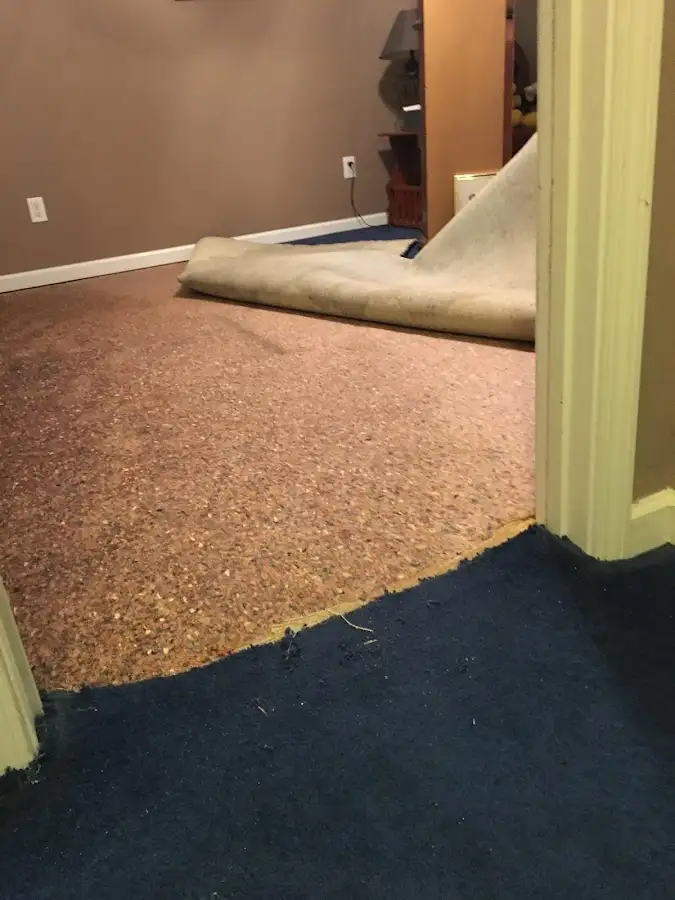 Carpet pad removal revealing water damage during Water Mitigation Services in Lincoln Park