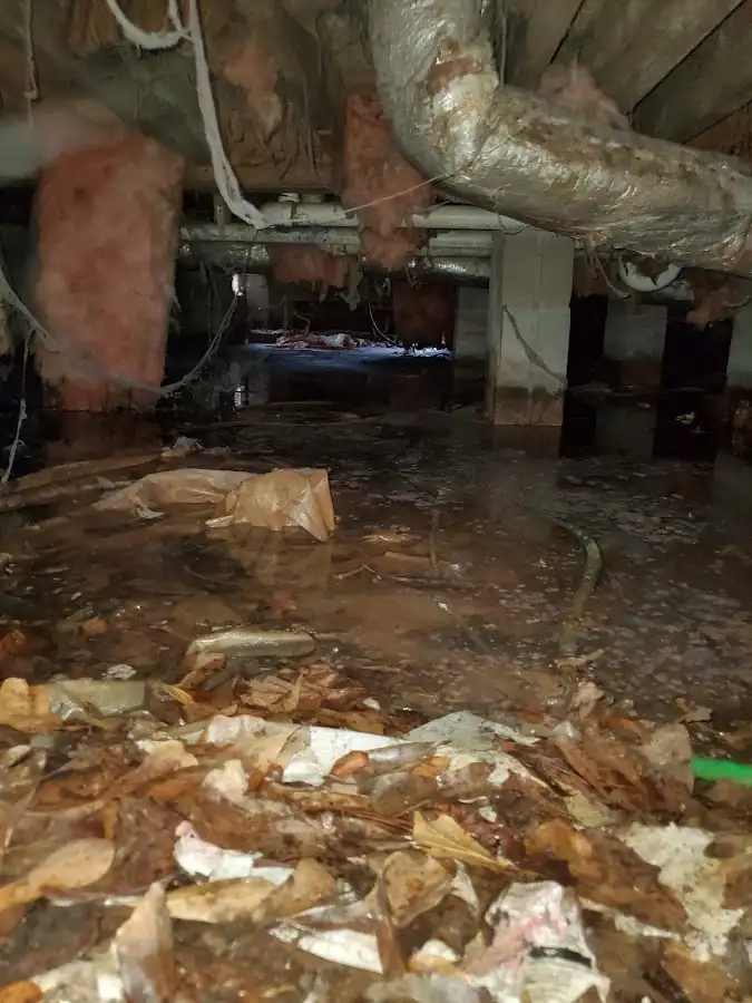 Crawl space flood assessment for Leak Detection & Repair in Lincoln Park